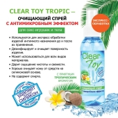 Очищающий спрей для игрушек CLEAR TOY Tropic - 100 мл. - Биоритм - купить с доставкой в Долгопрудном