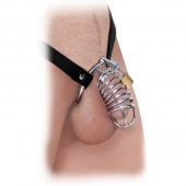Кольцо верности Extreme Chastity Belt с фиксацией головки - Pipedream - купить с доставкой в Долгопрудном