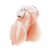 Прозрачная клетка целомудрия Acrylic See-thru Chastity Cage - BlueLine - купить с доставкой в Долгопрудном
