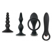 Набор стимуляторов простаты Intro To Prostate Kit - Zero Tolerance - в Долгопрудном купить с доставкой