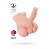 Мастурбатор с фаллосом Manuel - ToyFa - в Долгопрудном купить с доставкой