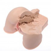 Мастурбатор-полуторс Naked Factory Kate - Naked Factory - в Долгопрудном купить с доставкой