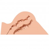 Мастурбатор-полуторс Naked Factory Hannah - Naked Factory - в Долгопрудном купить с доставкой