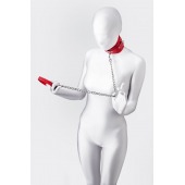 Красный ошейник с подкладкой из меха - ToyFa - купить с доставкой в Долгопрудном