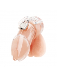 Прозрачная клетка целомудрия Acrylic See-thru Chastity Cage - BlueLine - купить с доставкой в Долгопрудном