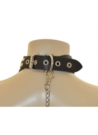 Ошейник  Веселый Роджер - Sitabella - купить с доставкой в Долгопрудном