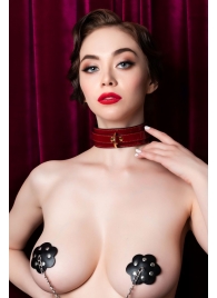 Красный ошейник из лакированного материала - ToyFa - купить с доставкой в Долгопрудном