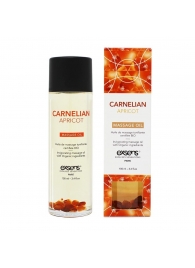 Органическое массажное масло CARNELIAN APRICOT - 100 мл. - Exsens - купить с доставкой в Долгопрудном