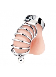 Серебристая клетка для члена Urethral Play Cage - BlueLine - купить с доставкой в Долгопрудном