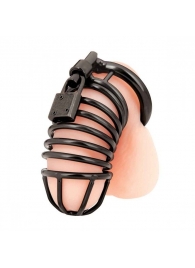 Черная металлическая клетка с замком Deluxe Chastity Cage - BlueLine - купить с доставкой в Долгопрудном