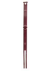 Бордовый ремень Halo Waist Belt - размер L-XL - Shots Media BV - купить с доставкой в Долгопрудном