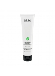 Водный лубрикант Nuei Inlube с алоэ вера и ароматом мяты - 100 мл. - Nuei cosmetics - купить с доставкой в Долгопрудном