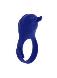 Синее эрекционное виброкольцо с клиторальной подушечкой и пультом ДУ Adjustable Fun Ring - Zero Tolerance - в Долгопрудном купить с доставкой