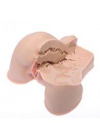 Мастурбатор-полуторс Naked Factory Kate - Naked Factory - в Долгопрудном купить с доставкой