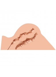 Мастурбатор-полуторс Naked Factory Hannah - Naked Factory - в Долгопрудном купить с доставкой