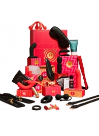 Адвент-календарь Lovehoney Couple’s Advent Calendar 2025 - We-vibe - купить с доставкой в Долгопрудном