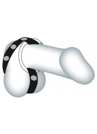 Подхват для мошонки с 3 съемными эрекционными кольцами Leder-Riemen - Orion - в Долгопрудном купить с доставкой