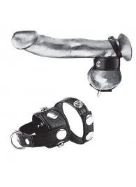 Утяжка для мошонки и пениса Cock Ring With 1  Ball Stretcher And Optional Weight Ring - BlueLine - купить с доставкой в Долгопрудном