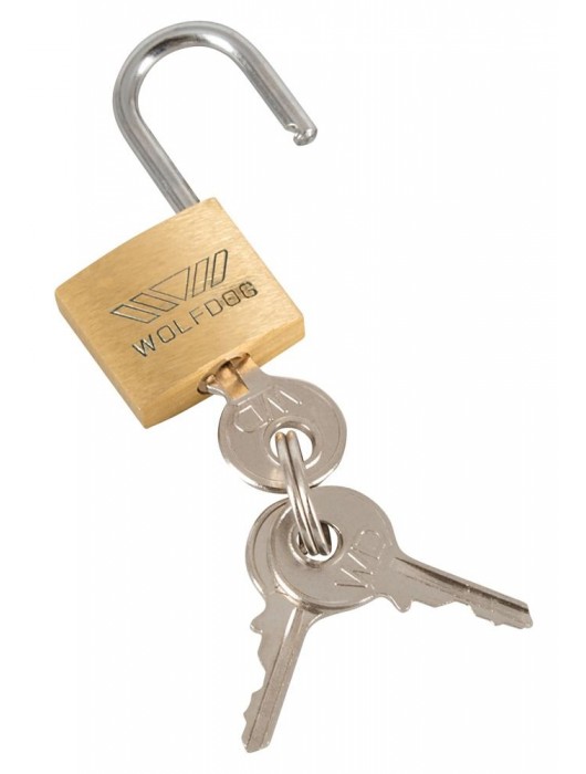 Набор для мужского пояса верности Cock Cage Set - Orion - купить с доставкой в Долгопрудном