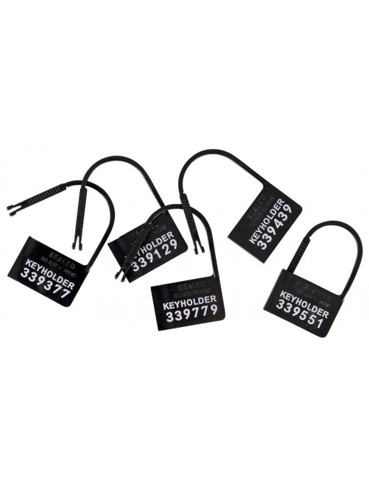 Набор для мужского пояса верности Cock Cage Set - Orion - купить с доставкой в Долгопрудном