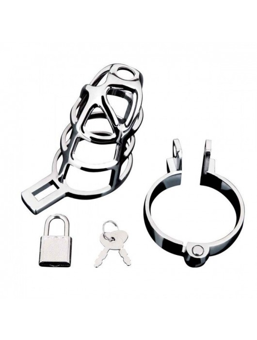 Серебристая металлическая клетка для члена с замком Enslave Cock Cage - BlueLine - купить с доставкой в Долгопрудном
