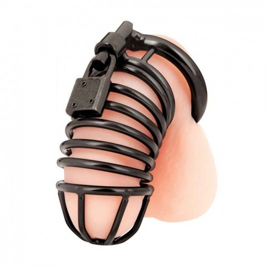 Черная металлическая клетка с замком Deluxe Chastity Cage - BlueLine - купить с доставкой в Долгопрудном