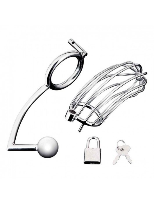 Серебристая металлическая клетка с анальным стимулятором Cock Cage - BlueLine - купить с доставкой в Долгопрудном