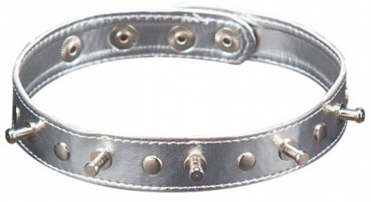 Серебристый ошейник с шипами - Sitabella - купить с доставкой в Долгопрудном