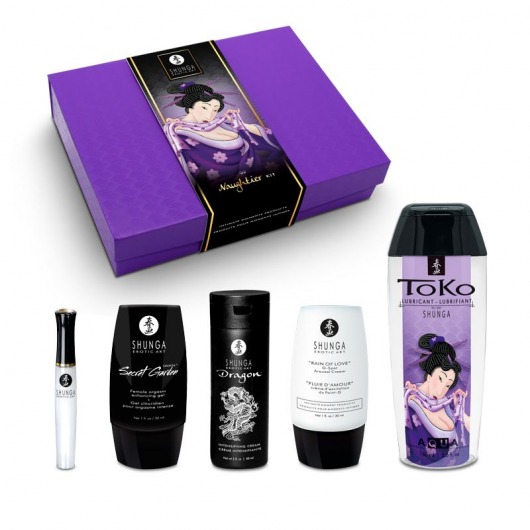 Подарочный набор Naughter Kit - Shunga - купить с доставкой в Долгопрудном