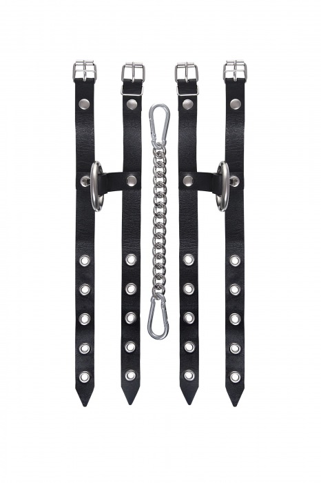 Черные однослойные кожаные оковы из двух ремешков - Pecado - купить с доставкой в Долгопрудном
