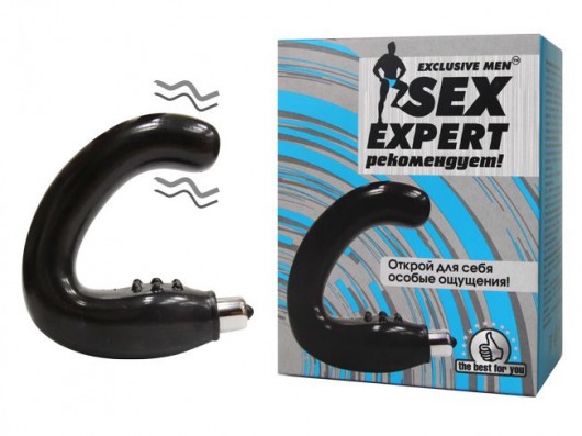 Чёрный массажёр простаты серии Sex Expert - Sex Expert - в Долгопрудном купить с доставкой