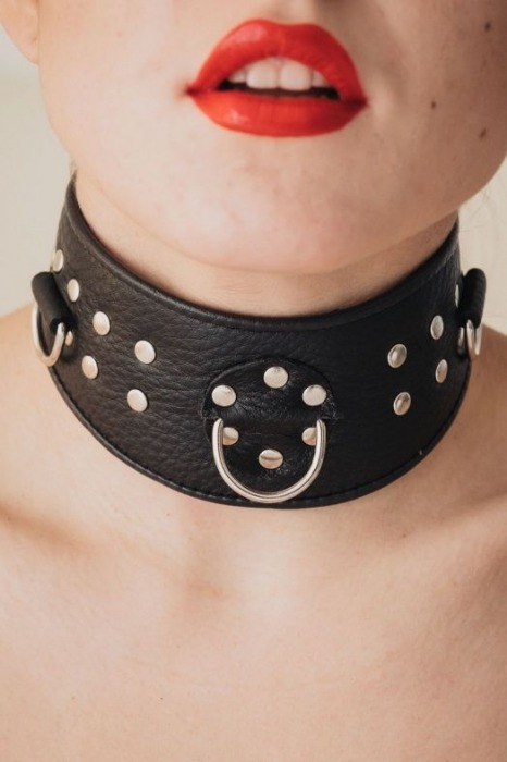 Кожаный ошейник для эротических игр - БДСМ Арсенал - купить с доставкой в Долгопрудном