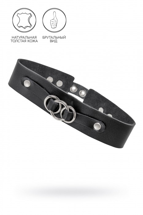 Черный чокер-ошейник со связанными кольцами на подложке - Pecado - купить с доставкой в Долгопрудном