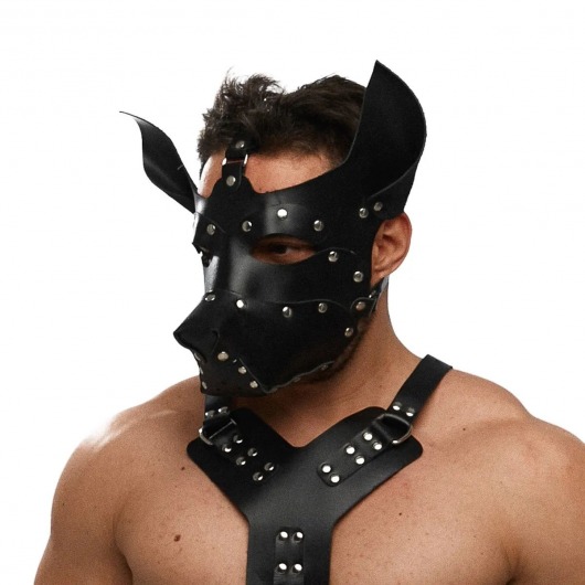 Черная кожаная маска «Собака» - Crazy Handmade - купить с доставкой в Долгопрудном