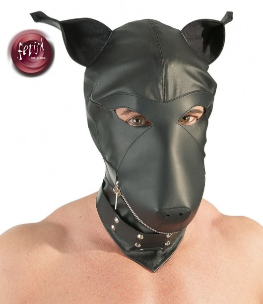 Шлем-маска Dog Mask в виде морды собаки - Orion - купить с доставкой в Долгопрудном