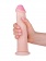 Фаллоимитатор с розовой головкой ART-Style №29 на присоске - 21,5 см. - Art-Style купить с доставкой в интернет-магазине Orgasmix в Долгопрудном Фаллоимитатор с розовой головкой ART-Style №29 на присоске - 21,5 см. - Art-Style